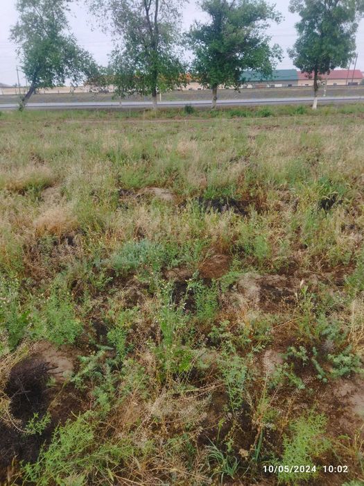 Tez kunda 2 sotixli yer maydoni arzon narxda sotiladi