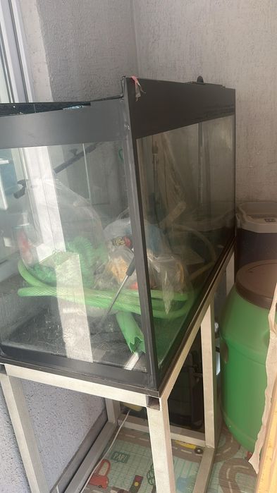 Аквариум срочнооо