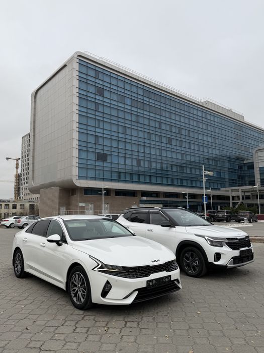 Авто аренда без водителя 24/7