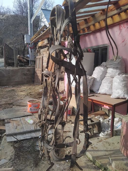 Vand 3 hamuri de cai