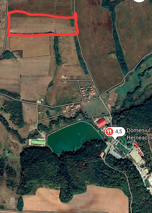 Teren Domeniul Herneacova Salciua Noua