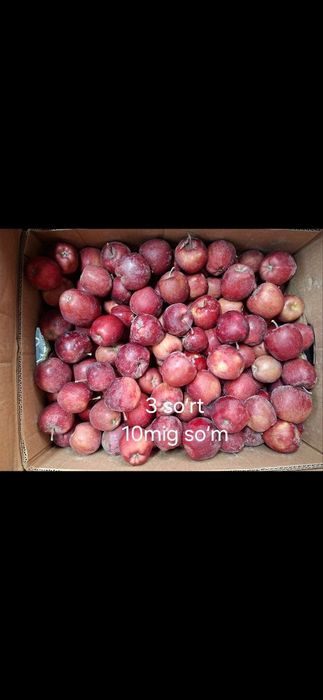 Olma sotiladi optim jizzaxnik