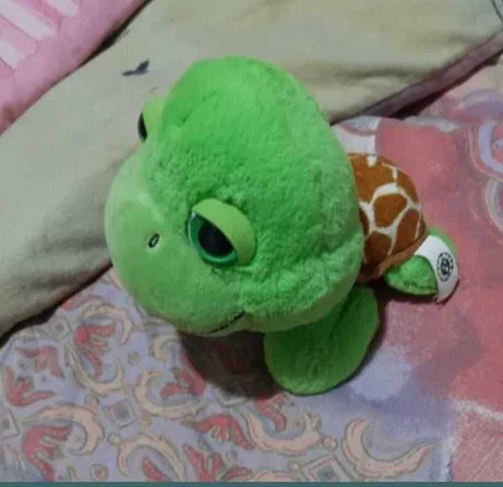 Adorabilul Oachy