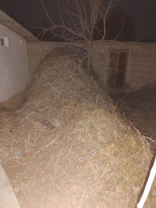 Tandir. uchun utinlar