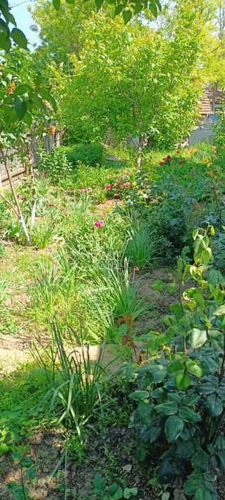 Schimb casa cu garsoniera