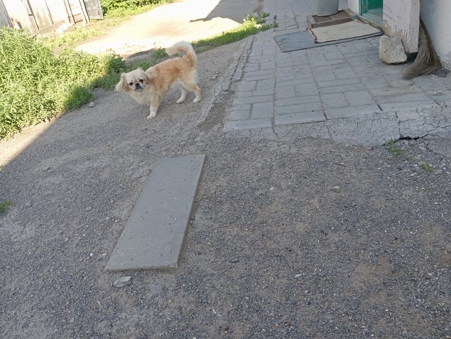 Ищем симпатичного парня