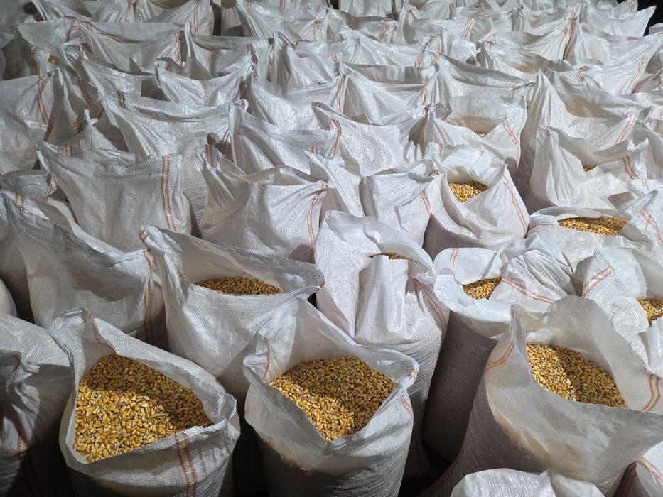 Porumb de vanzare  0.85 lei