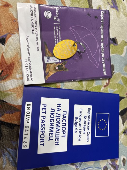 Кокер шпаньол на 6месеца