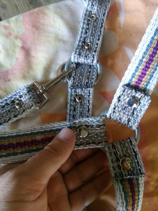 Нагръдник за куче, юлар, сарач.