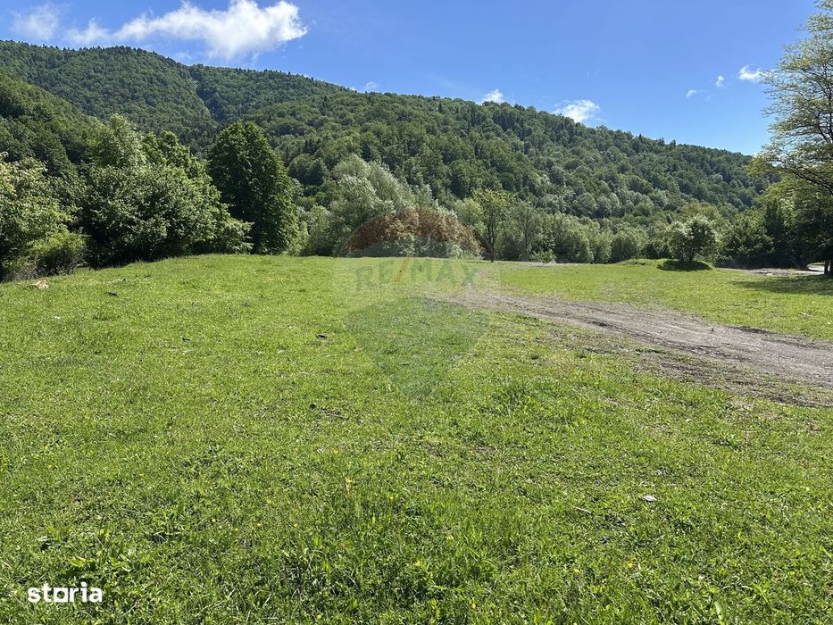 Teren 1,340mp Cuejdiu / Strada Cuejdiului