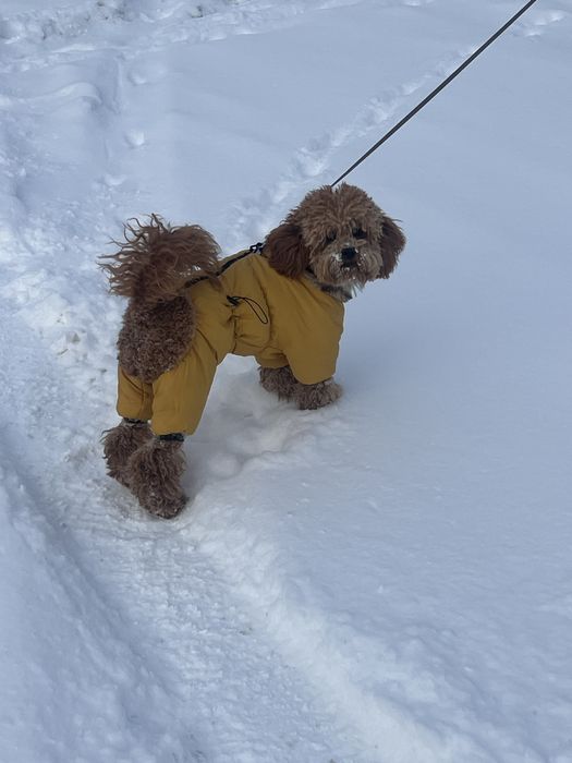 Продам одежду всё за 7000