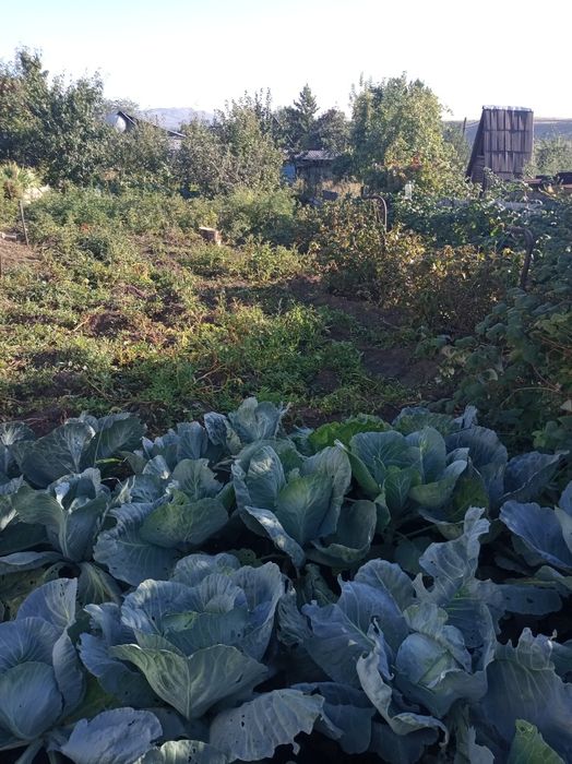 Продам дачу остановка 18 школа