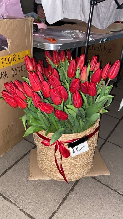 Тюльпаны Алматы 300тг шт.