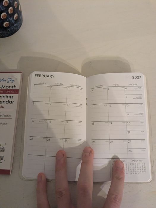 caiet/calendar roz mic