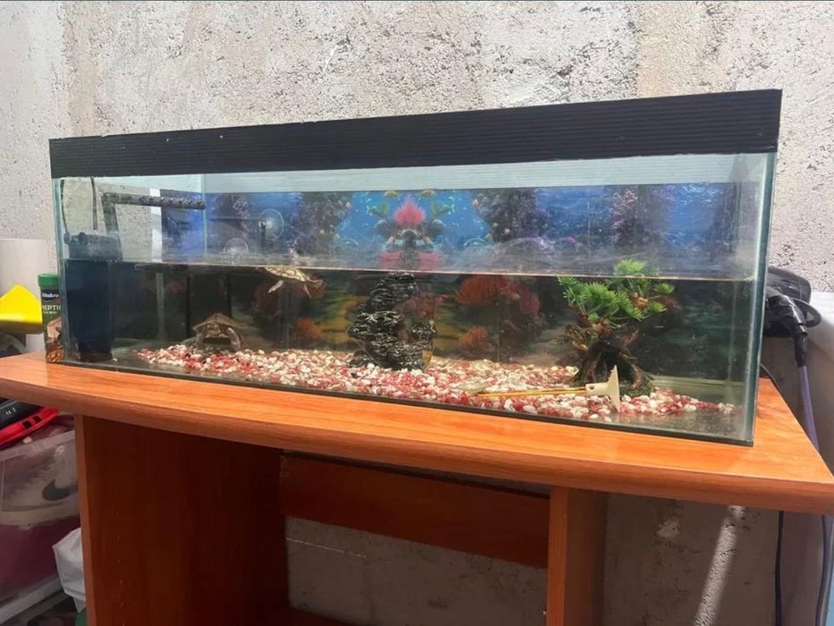 Acvariu 70l folosit foarte putin