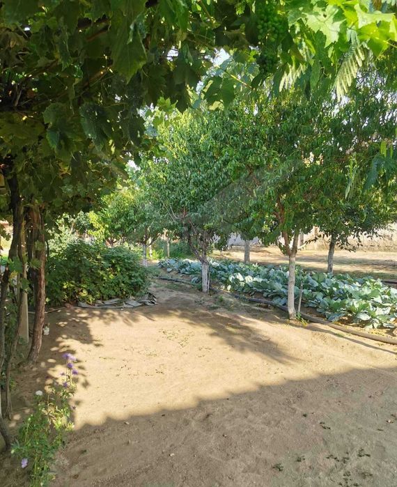 Продава се Къща в с. Голям чардак, Област Пловдив - 154 кв.м за 455 €/кв.м - Снимка #3