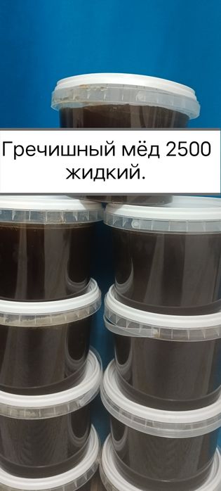 Алтайский край мёд