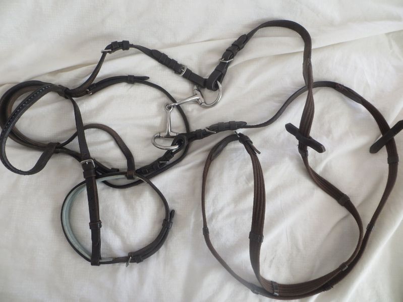 Якета, токи, ръкавици, юздечка, брич за езда  Caldene, Carat, CRW