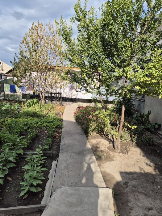 Продам дом  50кв,  8 соток