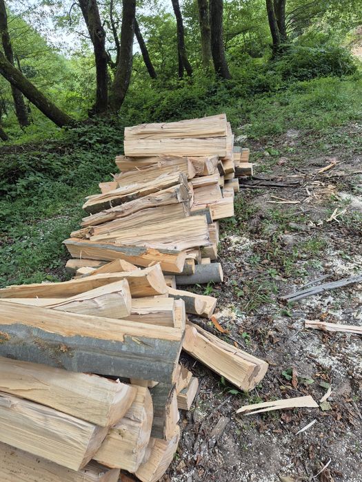 Lemne de foc uscate /verzi