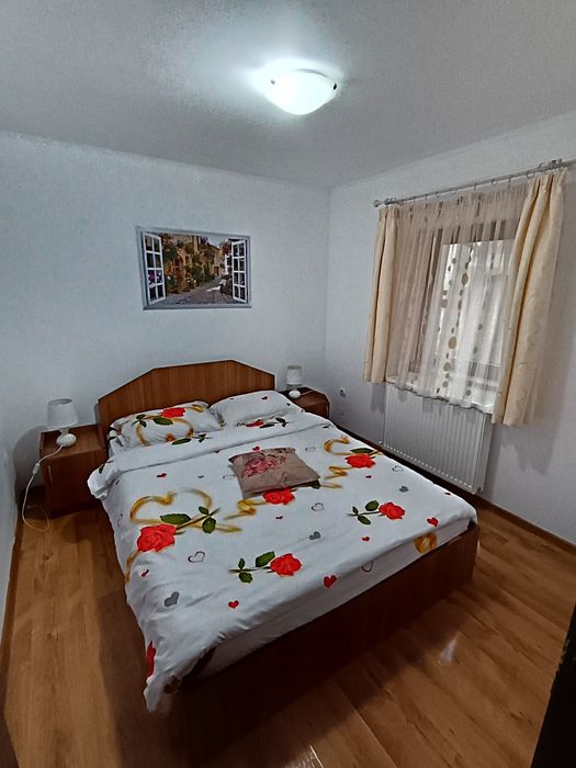 Cabana Tony Baile Figa BN cu ciubar acoperit și jacuzzi disponibilă