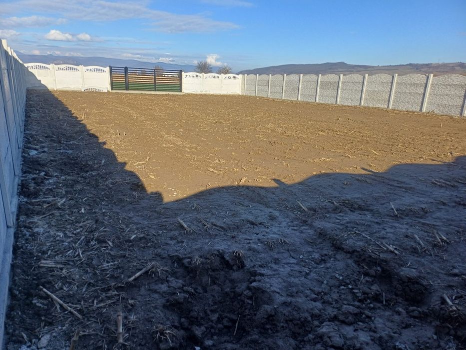 Vând teren in Băcia