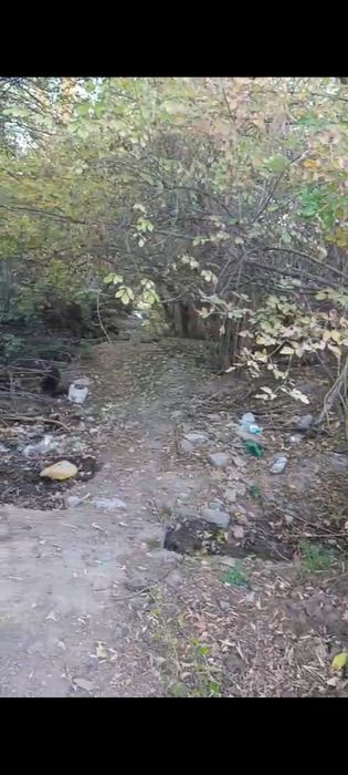 Зелёный участок в селе Бекболат