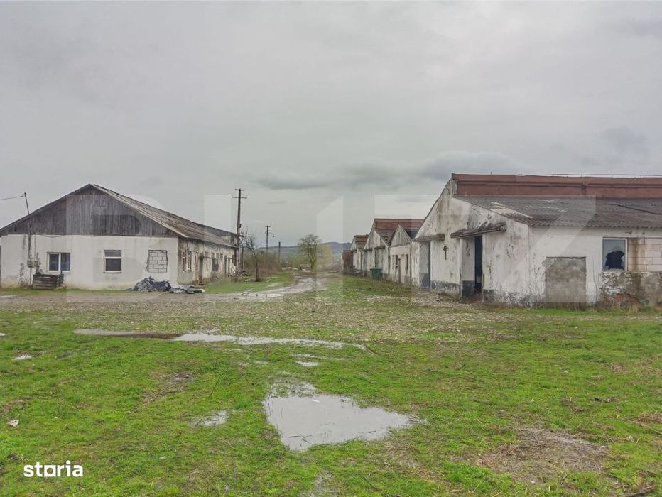 Ferma zootehnica de vanzare in Șieu Odorhei, intravilan, cu multiple