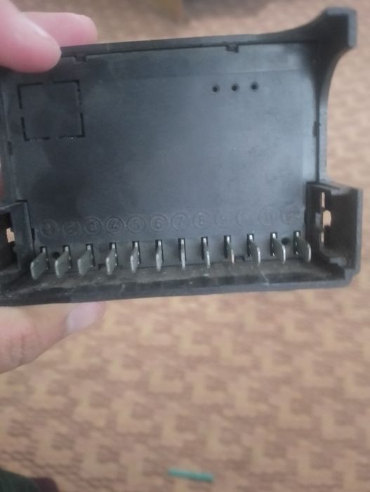 Issiqxona katyolini miyasi