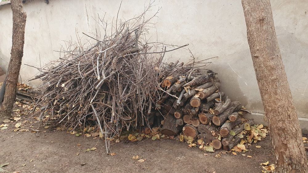 Тандир ва учак учун утин / дрова для топки