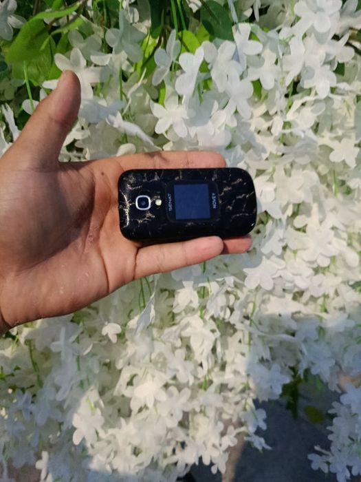 Novey senat                      .