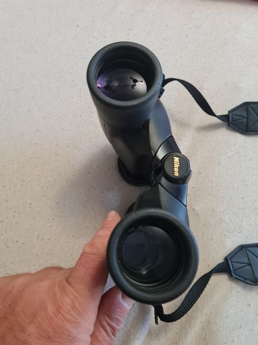 Binoclu din colectia proprie  nikon action ex 8x40