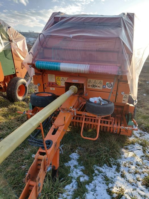 Balotiera galigniani