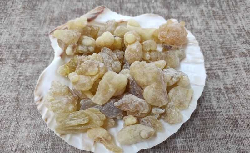 Бял Тамян от ОМАН натурален