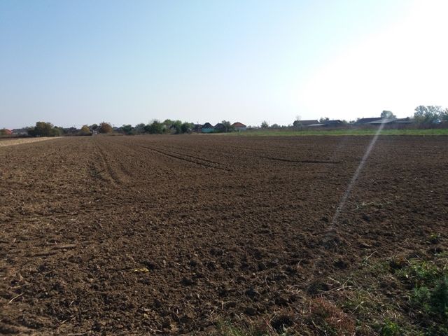 Investitie! Intravilan 55 ari capat Paulesti (intrare Ambud), 36 m.f.