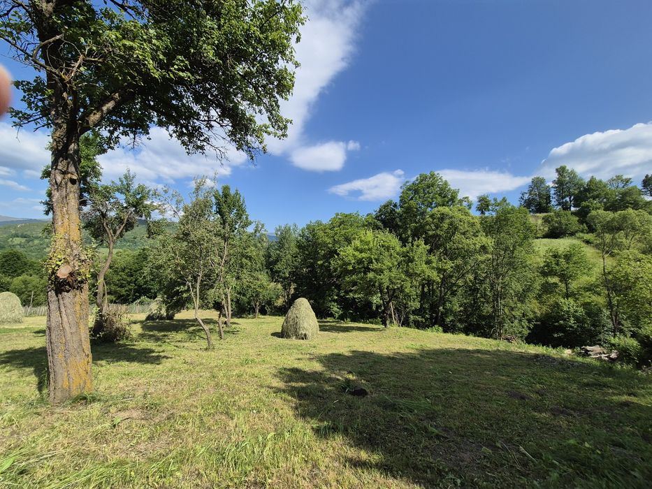 Vând 1200 mp  teren parcelabil in Valea Doftanei . Prahova