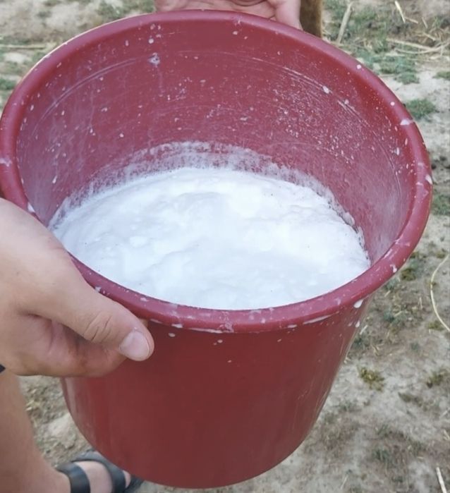 Шубат.Кымыз.Саумал !