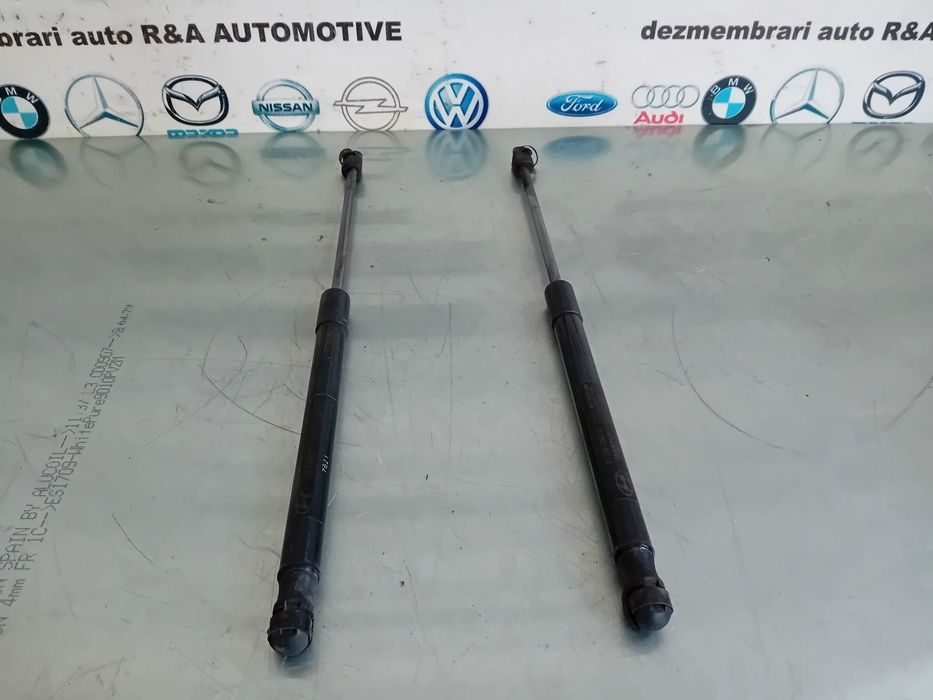 Set Telescoape Aortizoare Capota Hyundai Santa Fe 2 II An 2006-2012