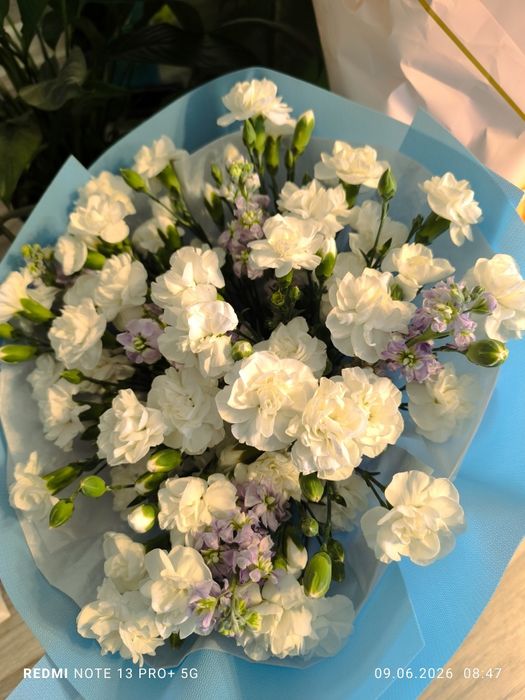 Продам цветы получено сегодня