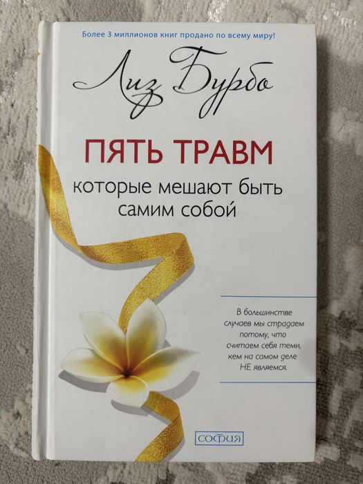 продам книгу долги тают на глазах