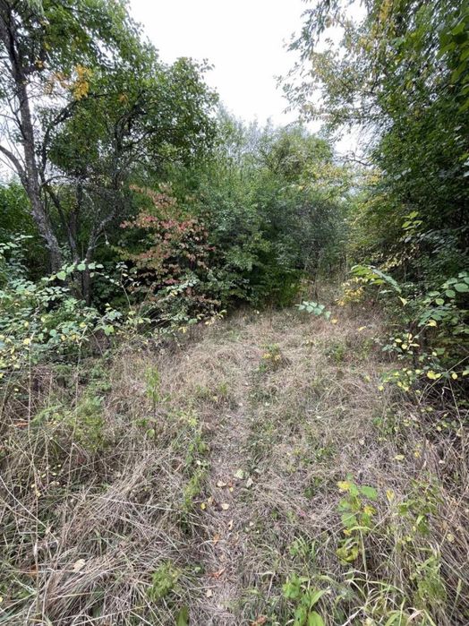 Продава се Парцел в с. Чуковец, Област Перник - 800 кв.м за 9 €/кв.м - Снимка #1