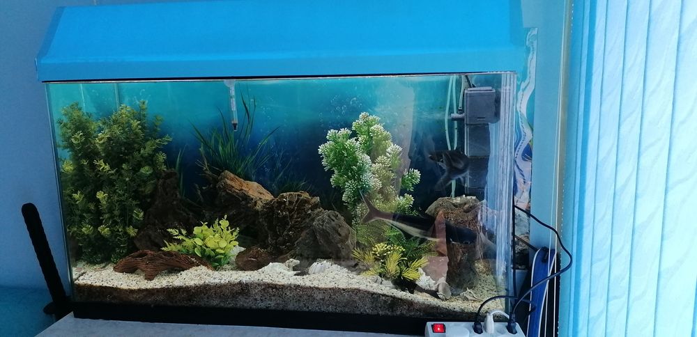 Аквариум оборудване