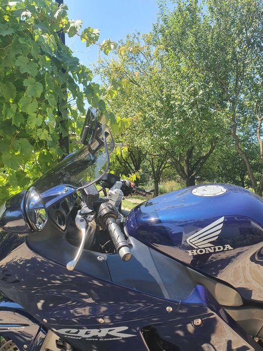 Honda Blackbird XX