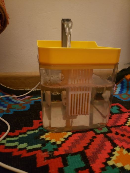 fantana pentru animalute