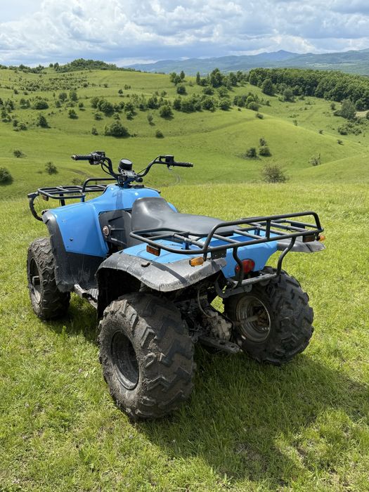 Atv linhai 300 worker