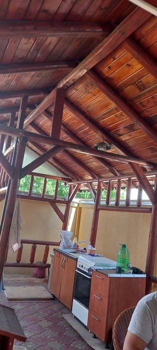 Vand foisor din bile de brad