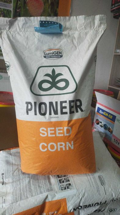 Семена кукуруза, Жүгері Пионер PIONEER