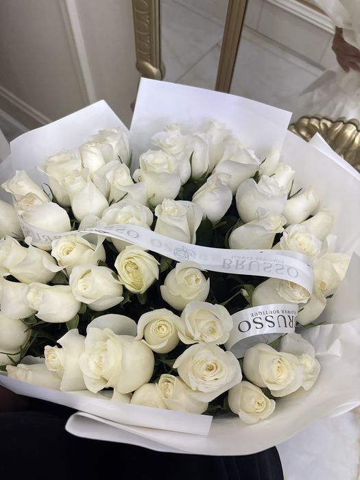 Гулдер, бугын келген