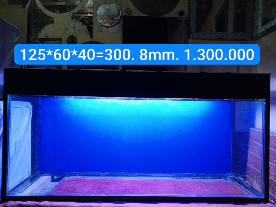 Аквариум биринчи қўл хажмига караб нарх ўзгаради СМС йозманг қўнгироқ