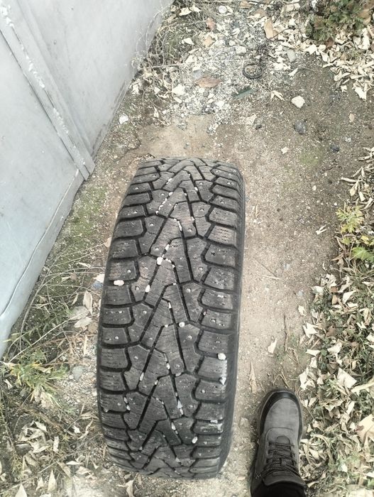 Шины зимние Pirelli